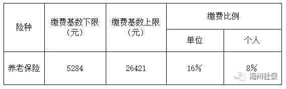 23年梅州职工社保缴费标准调整