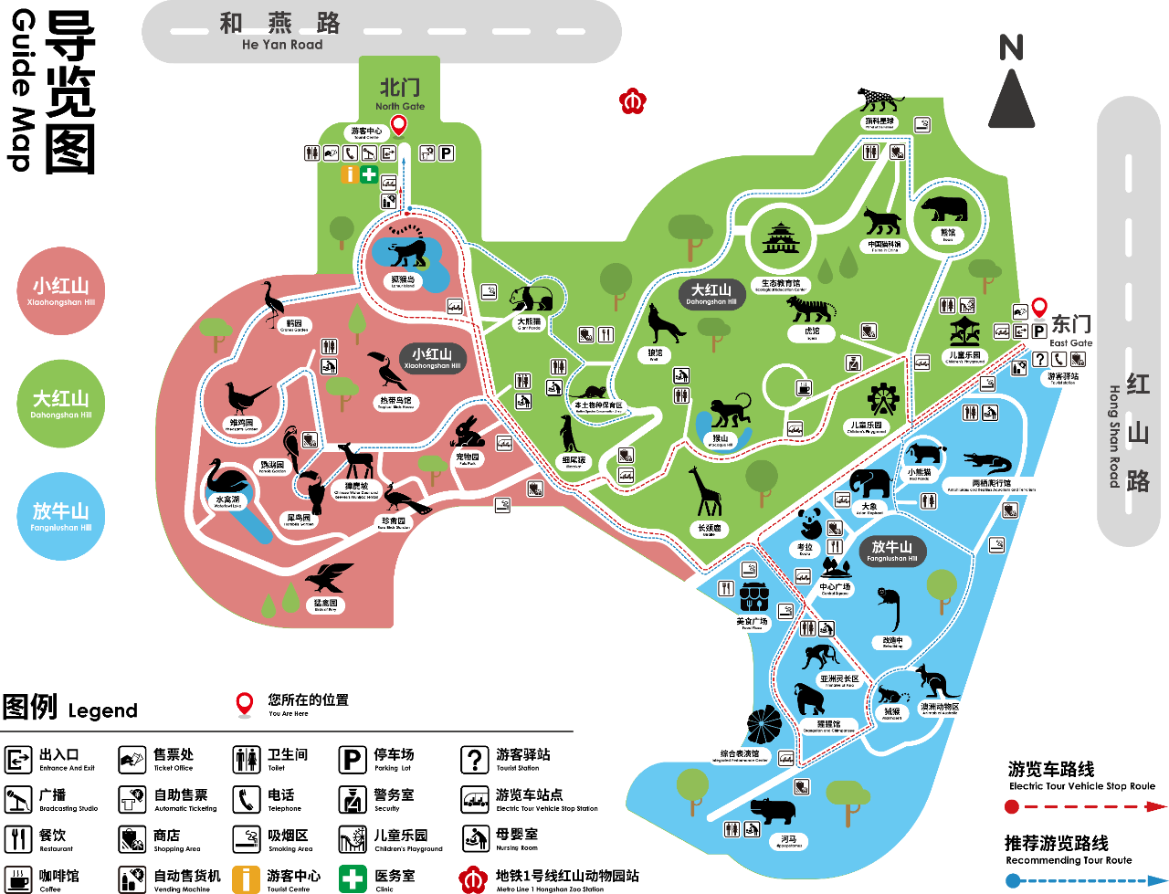 南京红山森林动物园有小熊猫吗