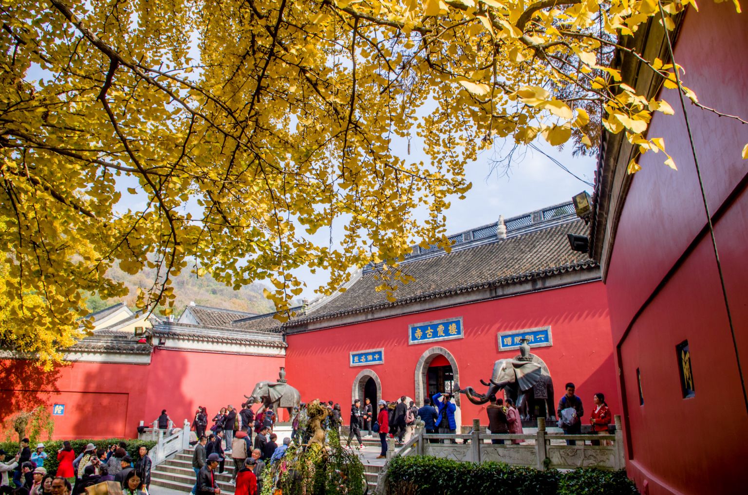 2023南京栖霞区景点免费开放日时间 景区名称- 南京本地宝