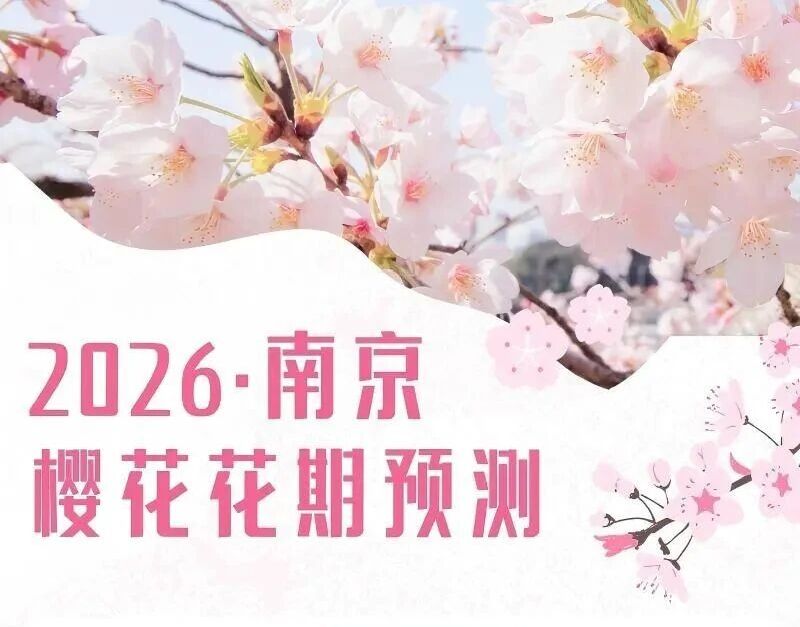 2026南京樱花花期预测公布（附赏樱地推荐）