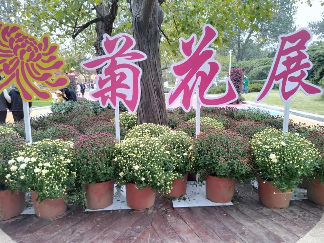 果博网址剧透巨型“双花篮”设计登场今年荔湾迎春花市有新变化(图1)