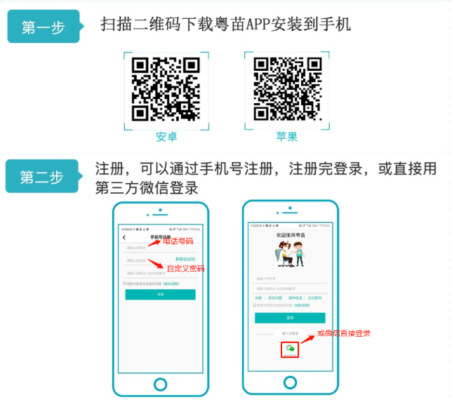 清远新生入学粤苗APP查验预防接种证操作