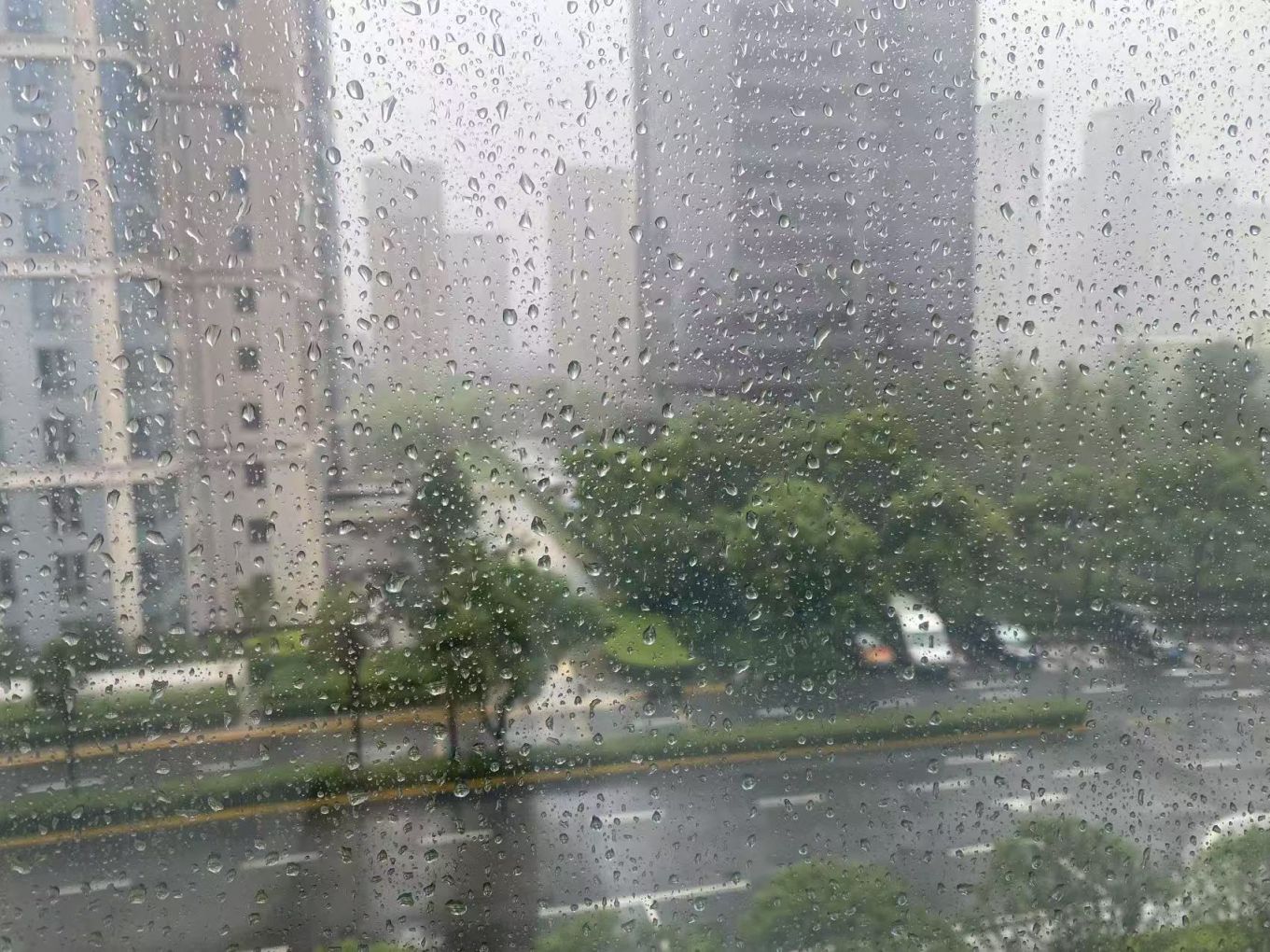受台风竹节草影响上海轮渡全线停航