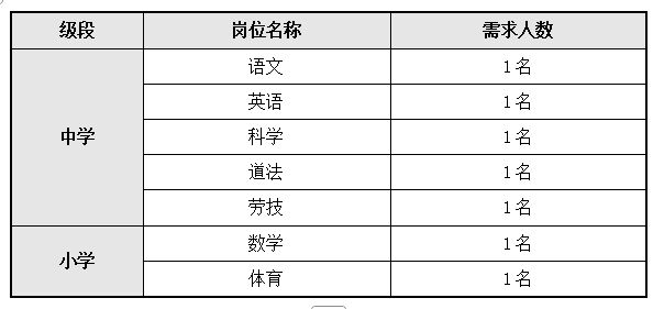 2026学年上海外国语大学嘉定外国语学校公开招聘教师公告（第二批）
