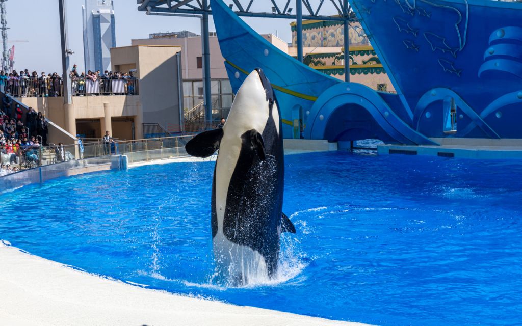 2024上海教师节景点活动汇总(持续更新)