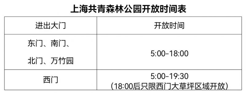 2026上海新春市民水仙花展攻略(时间+地点+交通）