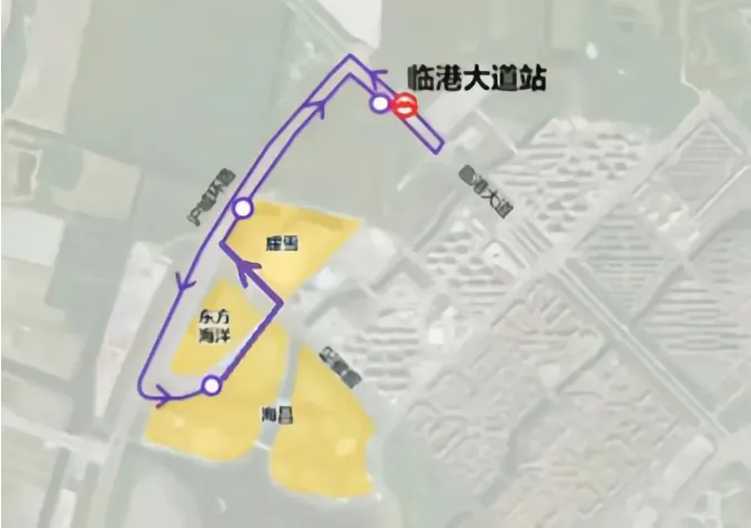 2026浦东新区热门景点春节交通出行攻略
