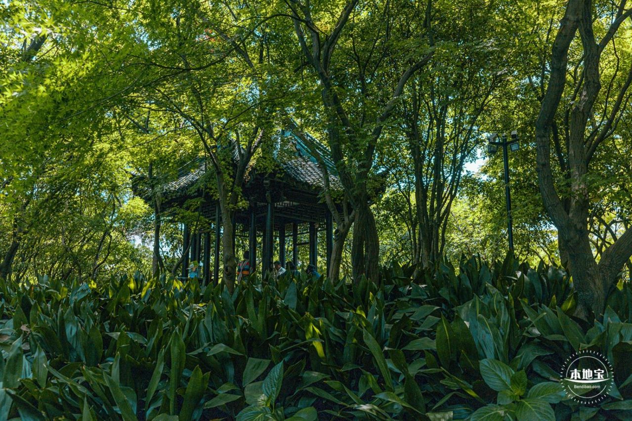 上海曲水园景点门票:免费开放时间:6:00 - 21:00景点地址:上海市青浦