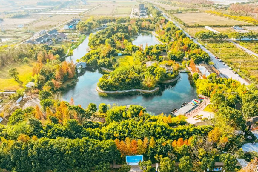 2026上海奉贤菜花节时间+地点+活动+交通