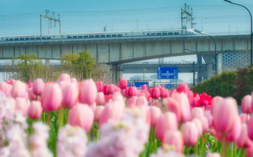 长三角铁路2026年春游运输方案出台