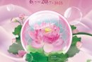 第二十五届澳门荷花节攻略（时间+地点+
