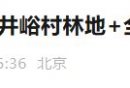 2026北京平谷区王辛庄镇井峪村林地灯展