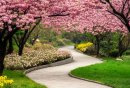 成都百花潭公园景点介绍