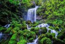 瓦屋山景区一日游报团攻略(行程安排+费