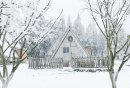 重庆仙女山几月份下雪？