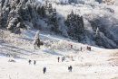 2024重庆南川金佛山下雪了吗？