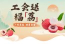 2025广东省总工会送福荔活动（免费抽荔