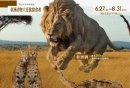 2025南京雨山天街野生漫游季展览时间+地