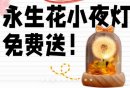 2025天津金元宝滨海国际13周年店庆活动