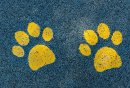唐山禁止饲养的烈性犬和大型犬类别