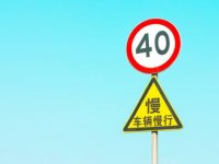 2025广州南沙龙舟大赛交通管制通告
