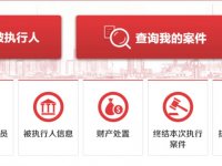 全国失信被执行人名单查询（地址+操作步