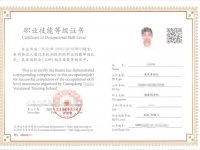健康照护师实用技巧2026年