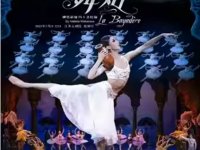 2025古典芭蕾舞剧舞姬时间+地点+票价+购