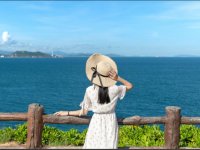 2025深圳周末活动汇总（每周更新）