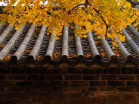 天津6个可以吃斋饭的寺庙