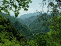 西安8个神仙森林氧吧