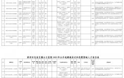 2025深圳市龙岗区属公立医院高层次和急需紧缺人才招聘公告