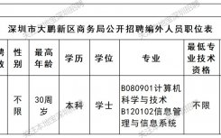 2025深圳大鹏新区商务局12月招聘公告