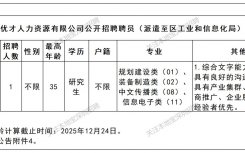 深圳市龙岗区工信局招聘1人公告(12月)