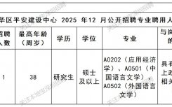 2025深圳市龙华区平安建设中心12月招聘公告