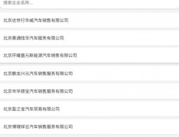 2025北京朝阳汽车消费券油电权益补贴标准有多少？