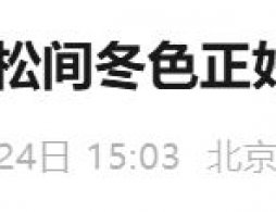 2026北京松美术馆元旦免票福利