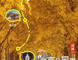 北京10條古建賞秋線路推薦