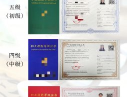 广州中级茶艺师报考全攻略2026年（补贴1200元/人）