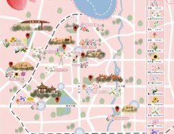 长春市各大公园赏花攻略（时间+地点+地图）
