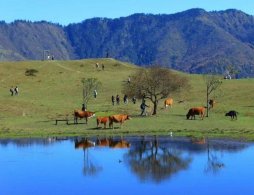 川西甘海子徒步一日游报团攻略(路线+费用+时间)