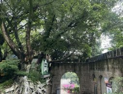 重庆鹅岭栈桥徒步攻略（开放时间+路线+周边景点）