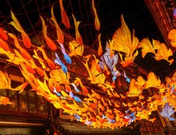 2026东莞春节灯会活动汇总（时间+地点+详情）