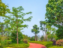 阜阳文峰公园游玩攻略（开放时间＋交通指南）