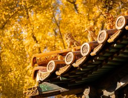 阜阳金种子公园购票指南（附线上购票入口）