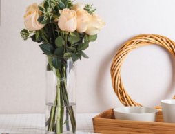 2026广州天河区花市最新消息（持续更新）