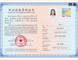 2026 广州老年人能力评估师报考指南（条件 / 考试 / 补贴 / 报名全解）