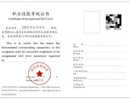 2026人工智能训练师职业等级证报考入口开放（广州）