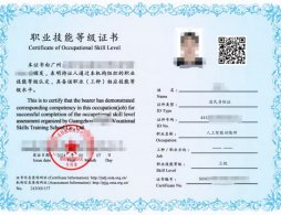 人工智能训练师证书是哪里颁发的？2026年报考最新条件入口广州