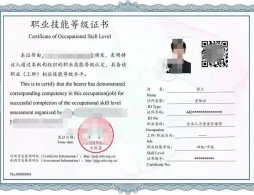 三级企业人力资源管理师高级工报考条件2026年
